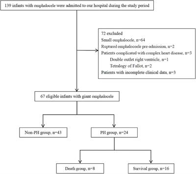 Giant omphalocele associated pulmonary hypertension: A retrospective study